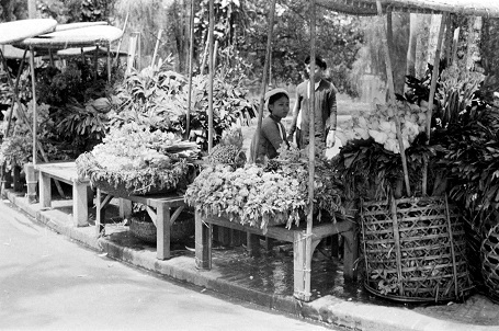Một cửa hàng bán hoa ven đường. (Ảnh: Harrison Forman)